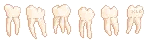 teeth